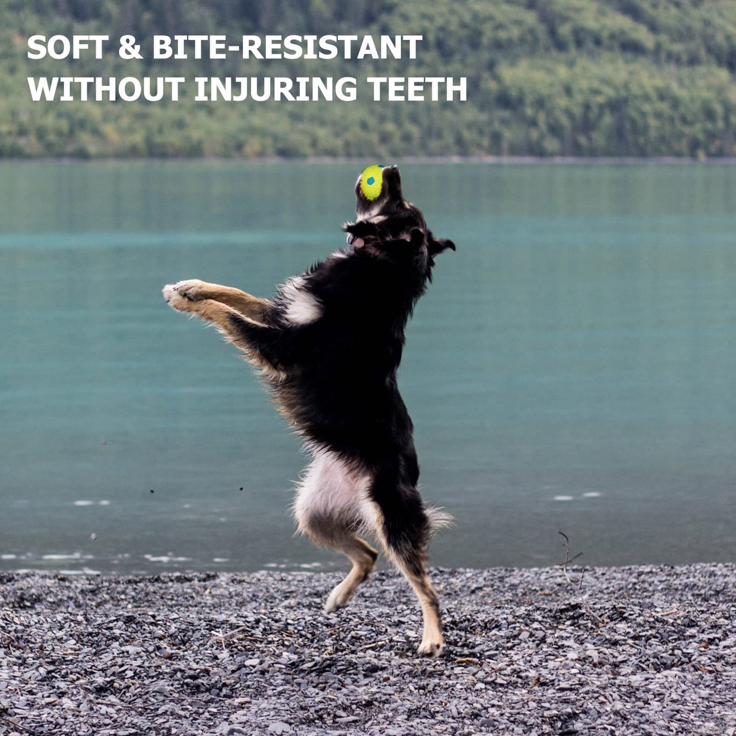 BESTHLS Dog Tennis Ball 2 inch Pet Toy Rubber Balls for Pet Puppy Tiny Small Dogs Fetching Exercise & Training (16 Pack)