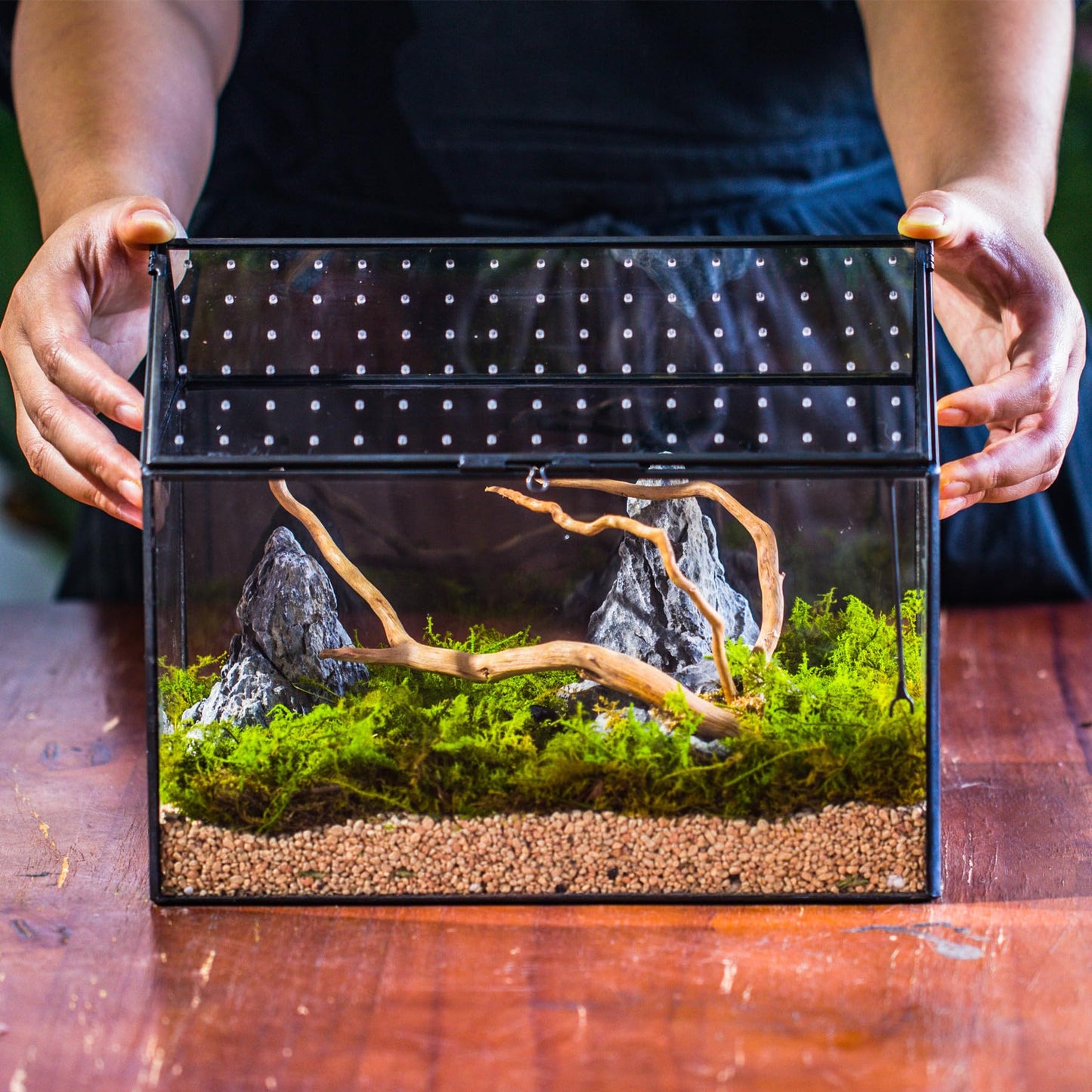 NCYP Glass Terrarium with Acrylic Lid, 26x15x21 cm, Large Geometric House Shape Clear Box for Snails, Ferns, Succulents, Air Plants, Indoor Tabletop Decor, Black (Terrarium Only)