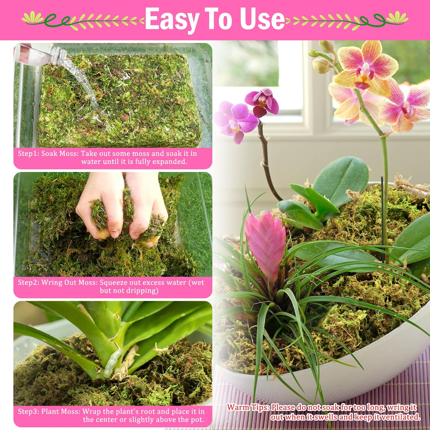 Riare 4.4LBS Premium Sphagnum Moss for Plants- 80QT Natural Dried Plant Moss for Potted Plants, Orchid Moss for Repotting, Soft Green Decorative Moss for Succulents, Reptiles & DIY Crafts