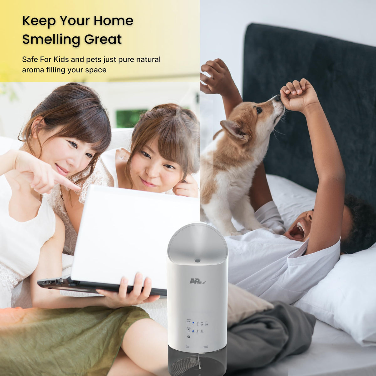 APelite™ Wall Plug-In Waterless Essential Oil Diffuser, Cold-Air Nebulizing Scent Machine, Light-Sensing Mode, 160ml Bottle, H705 Adjustable Home Fragrance