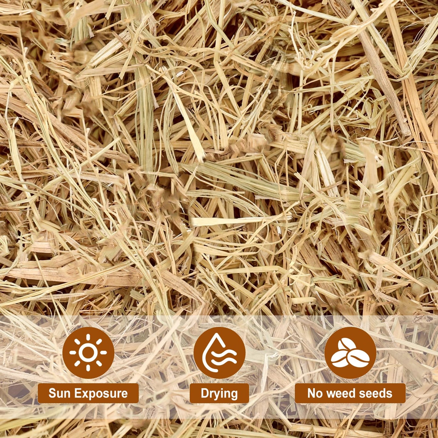 100% Natural Straw Bedding for Cats– 5 LB Dry Straw, Soft & Biodegradable Bedding for Winter Cat Shelters, Feral Cat Houses & Pet Warmth