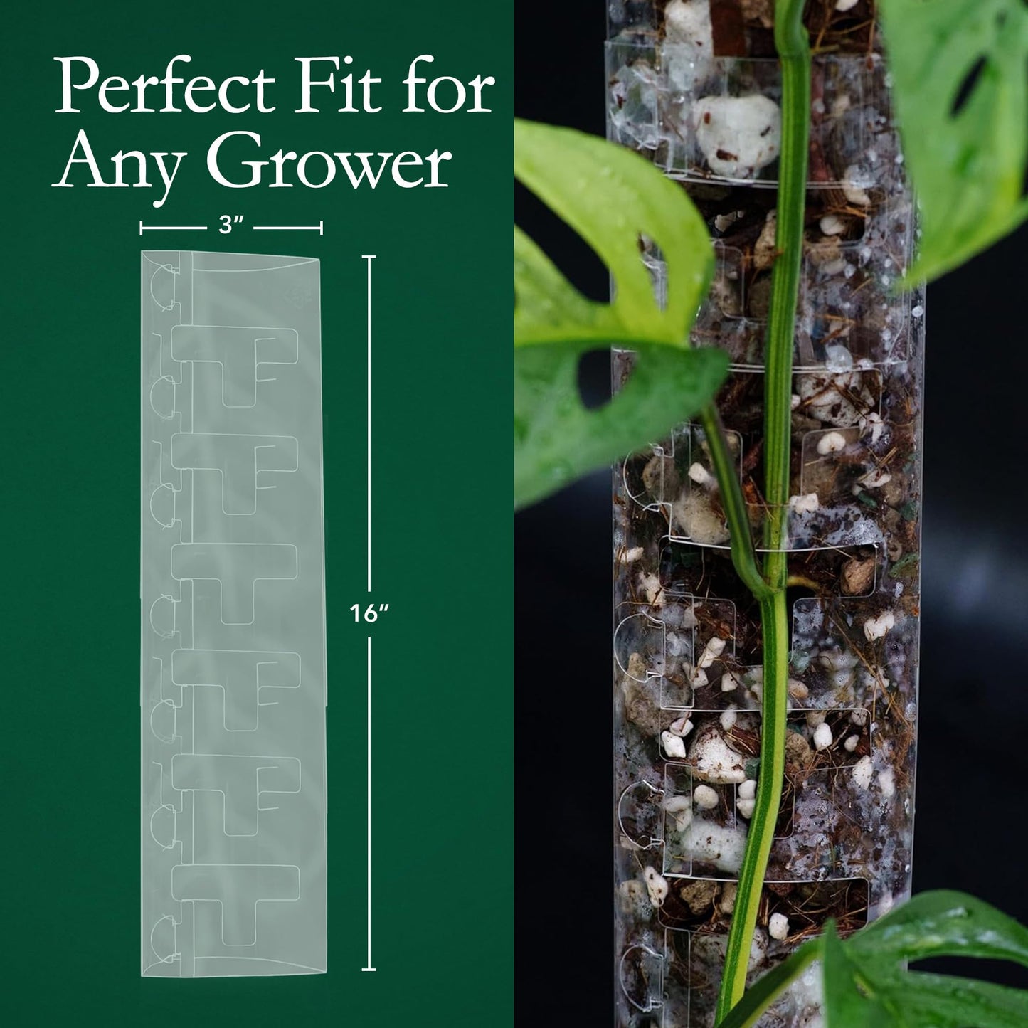 THICCLY V3 Medium GrowPole - Front Opening, Stackable Plastic Moss Poles for Climbing Plants, Monstera Plant Support-Plant Climbing Pole, DIY Plant Support, Works for Philodendron & Anthuriums - 5 Pcs