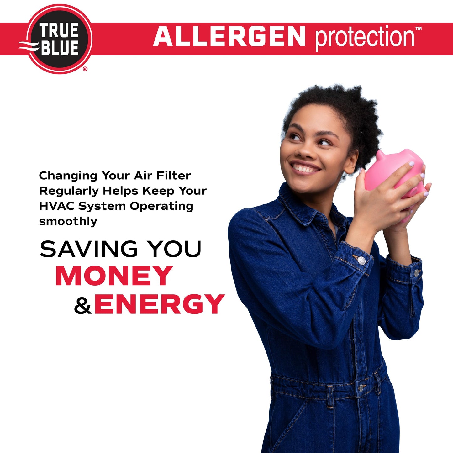 True Blue 318241.4 Allergen 18-Inch by 24-Inch by 1-Inch Air Filter, 4-Pack