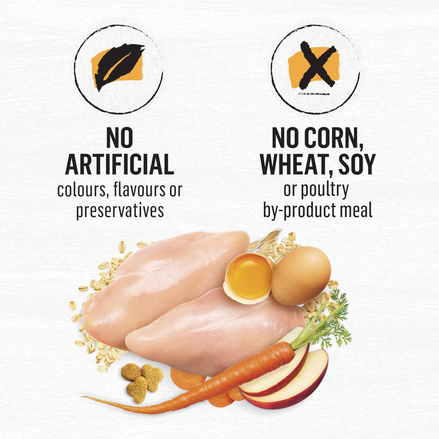 Beyond Simply Natural Dry Cat Food, Farm-Raised Chicken & Whole Oat Meal - 5.89 kg Bag