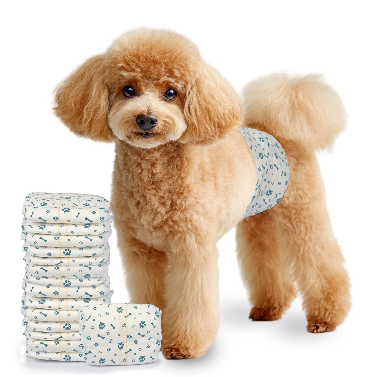 LeapSheep Disposable Male Dog Wraps, Super Absorbent Dog Diapers Male, Doggie Diapers for Puppy Training, Excitable Urination, Incontinence (Small, 50ct)