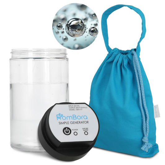 Colloidal Silver Generator Kit – 99.99% (Ag) Rods, TDS Meter Colloidal Silver Machine, Impure Water Indicator, Water Ionizer Machine for Home, Travel Bag, Simple Kit