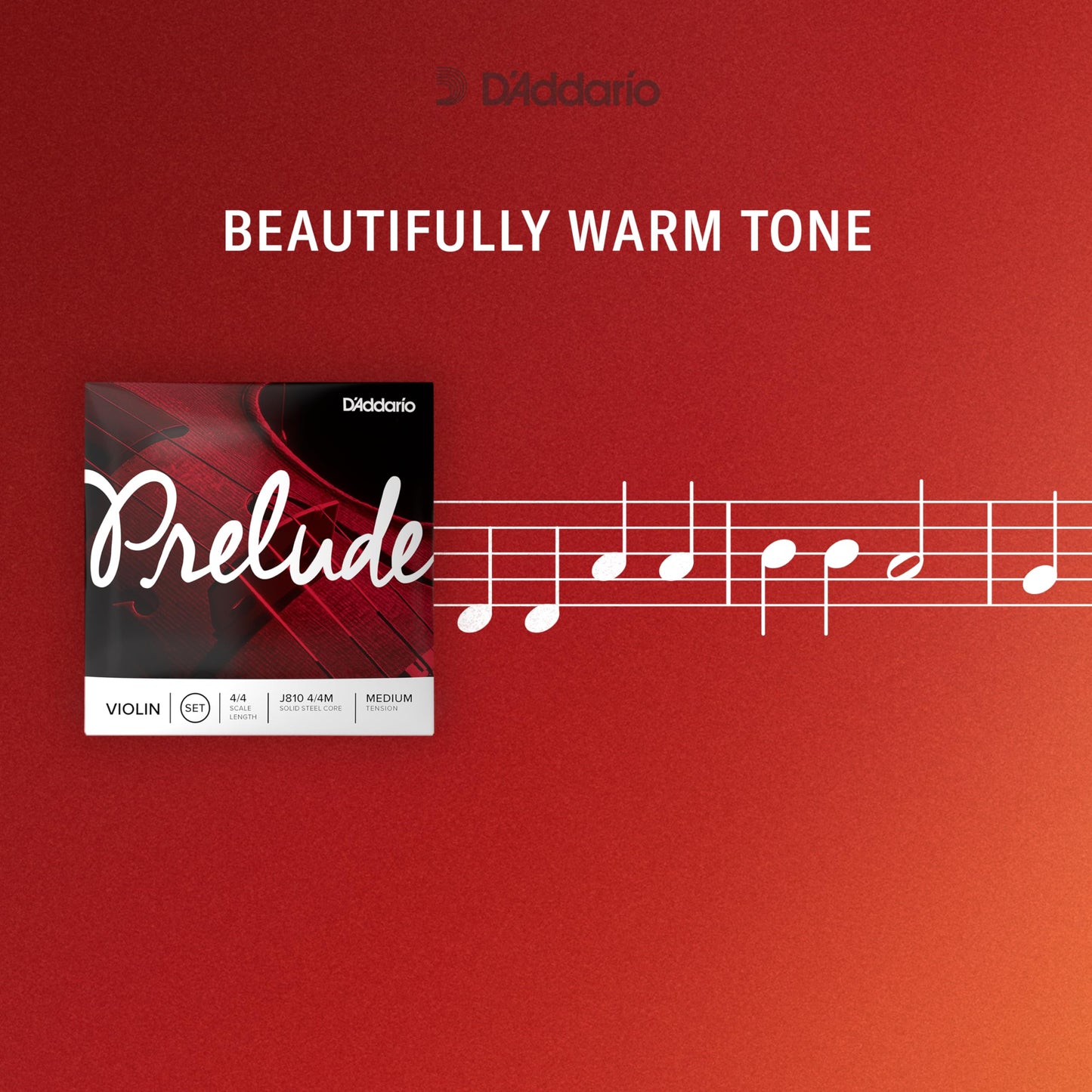 Strings Violin Prelude 1/2 J810 Coiled