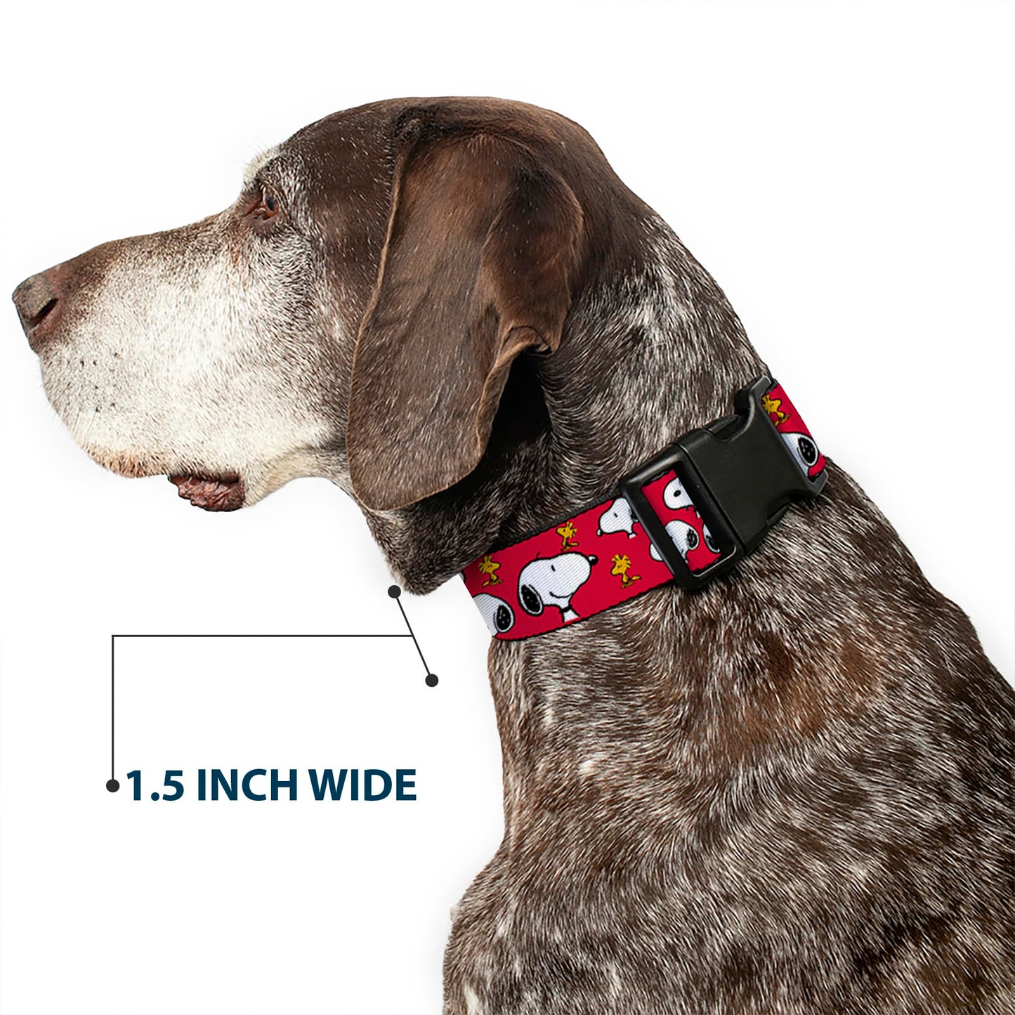 Peanuts Worldwide LLC Pet Collar, Dog Collar Plastic Buckle, Peanuts Snoopy and Woodstock Poses Scattered Red, 15 to 24 Inches 1.0 Inch Wide