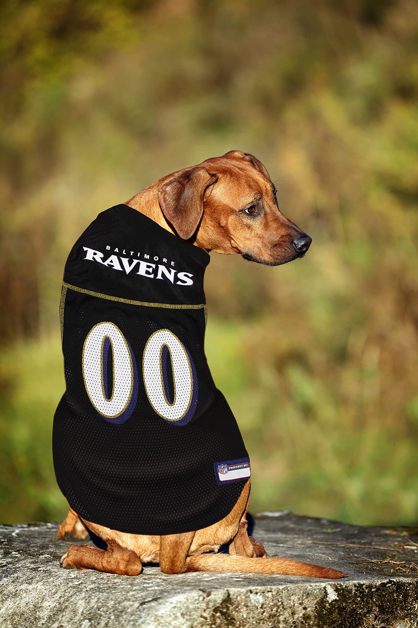 NFL Baltimore Ravens Dog Jersey, XX-Large