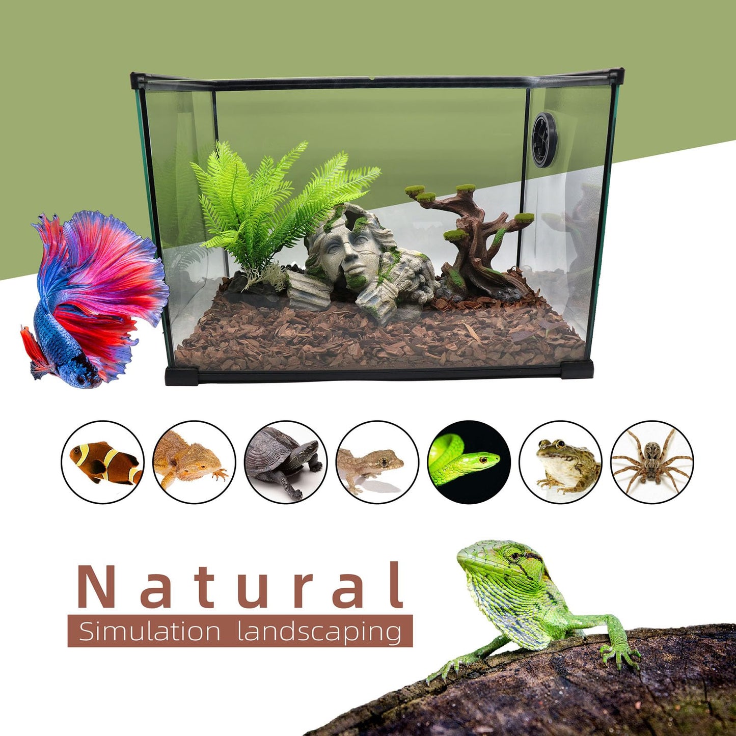 Aquarium Hideaway Cave Fish Tank Decorations, Reptile Cave Hideout Tank Accessories Decorations for Amphibians, Betta Fish, Shrimp, Lizards, Leopard Gecko