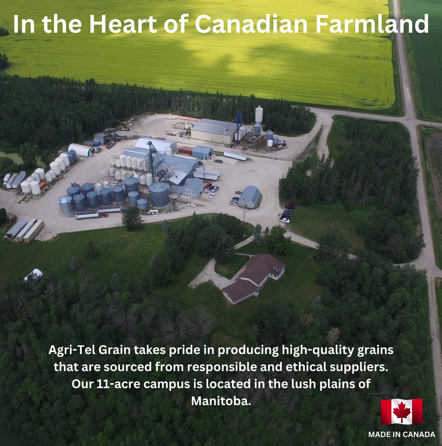 Agri-Tel Orchard Blend Fruit and Nut Bird Seed for Outside Feeders | Wild Songbird, Cardinal, Blue Jay, Finch Bird Food Seed | 4 Kgs, 8.8 Lbs