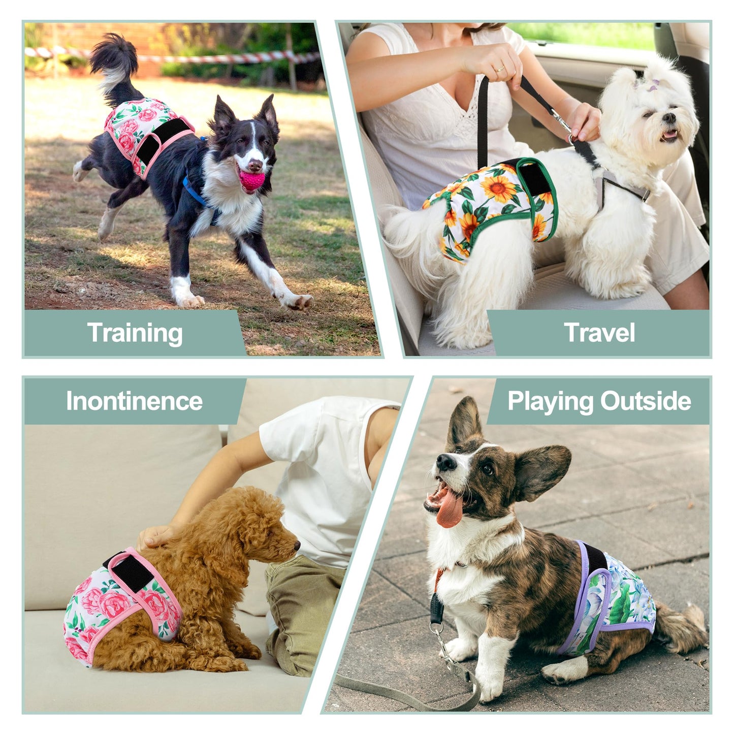 Grecle Washable Female Dog Diapers - Premium Reusable Diapers for Doggie in Heat - Highly Absorbent Dog Diapers Female for Pet Incontinence with Adjustable Snaps Sunflower, XXL