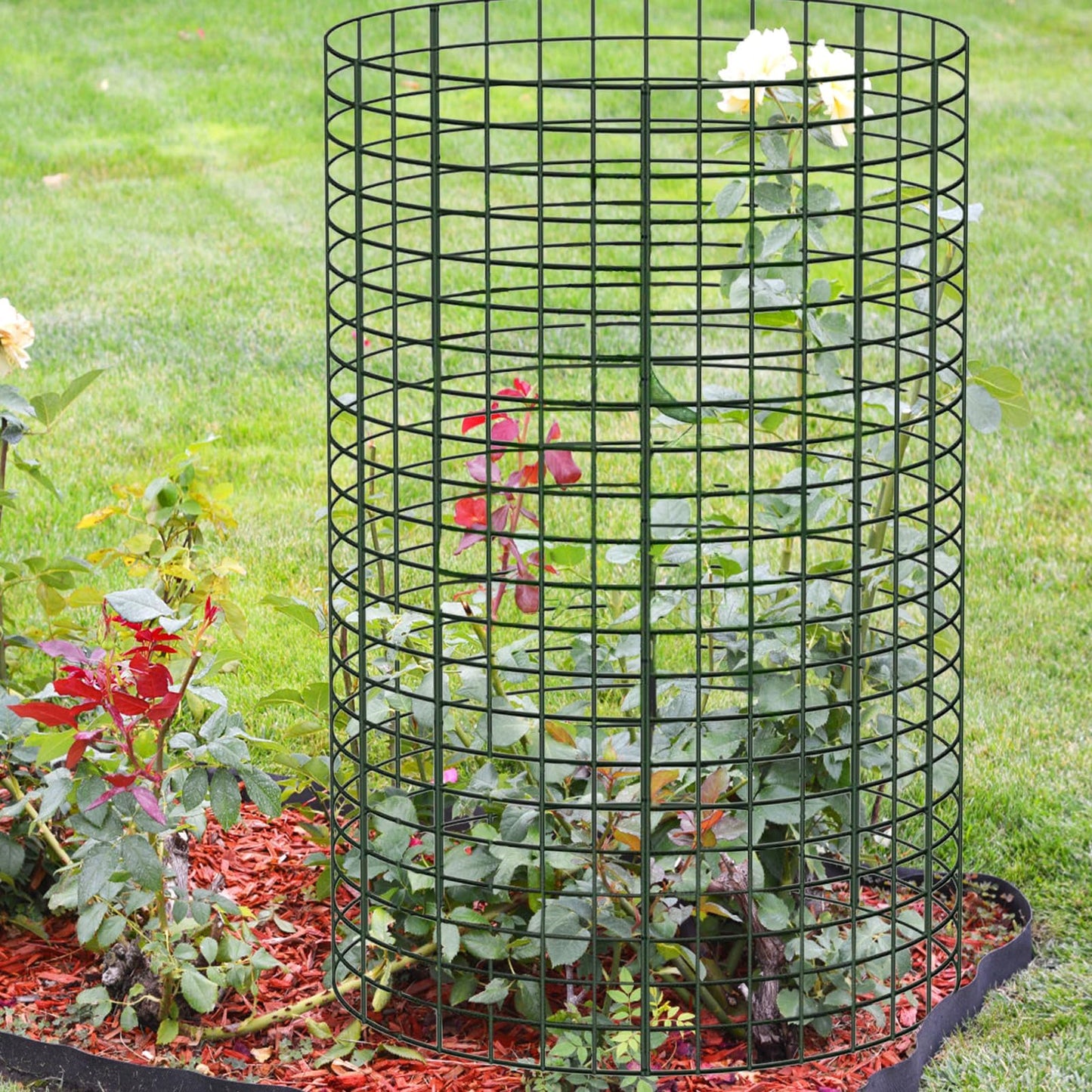 6 Pack 24'' x 12'' Plant Protectors from Animals, Plant Support Cage for Growing Vegetables Metal Chicken Wire Cloche with Stakes Metal Mesh Plant Cage Covers for Plants Shrubs Vegetables Flowers