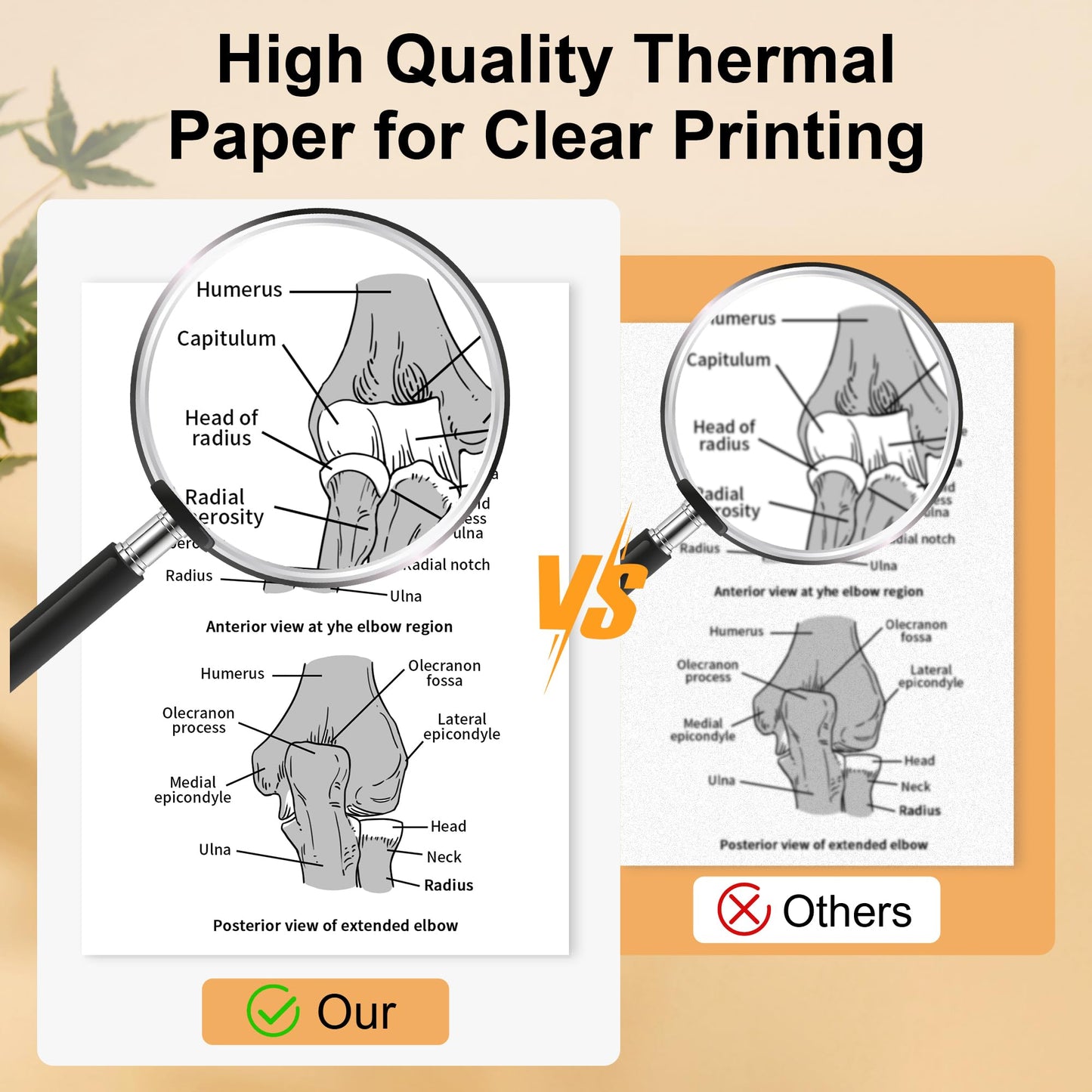 Phomemo US Letter Thermal Paper 4 Rolls, Thermal Printer Paper Supports Continuous Printing, Phomemo Paper Compatible with M832 M832D M834 Portable Printer
