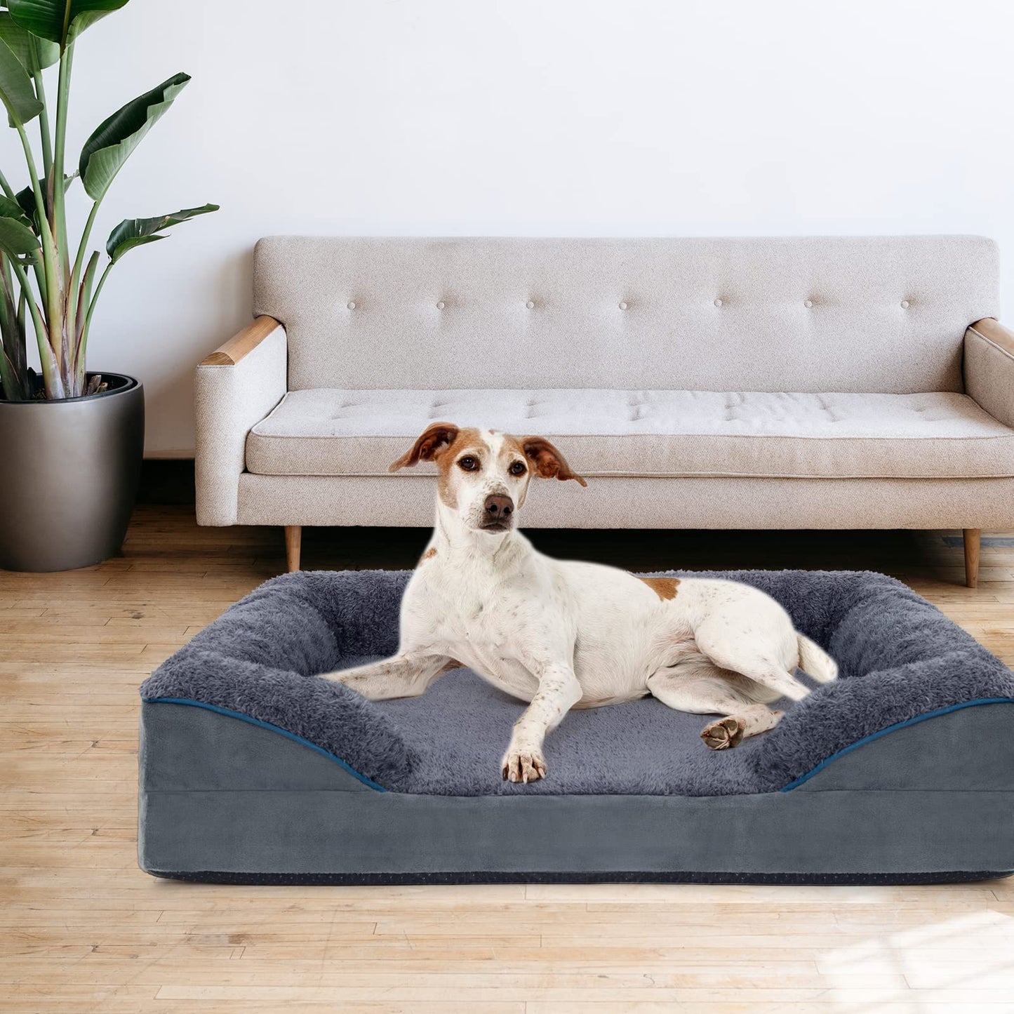 Bnonya Orthopedic Dog Bed, Dog Bed for Large Dogs, Bolster Pet Bed Couch with Removable Washable Cover, Egg Foam and Nonskid Bottom