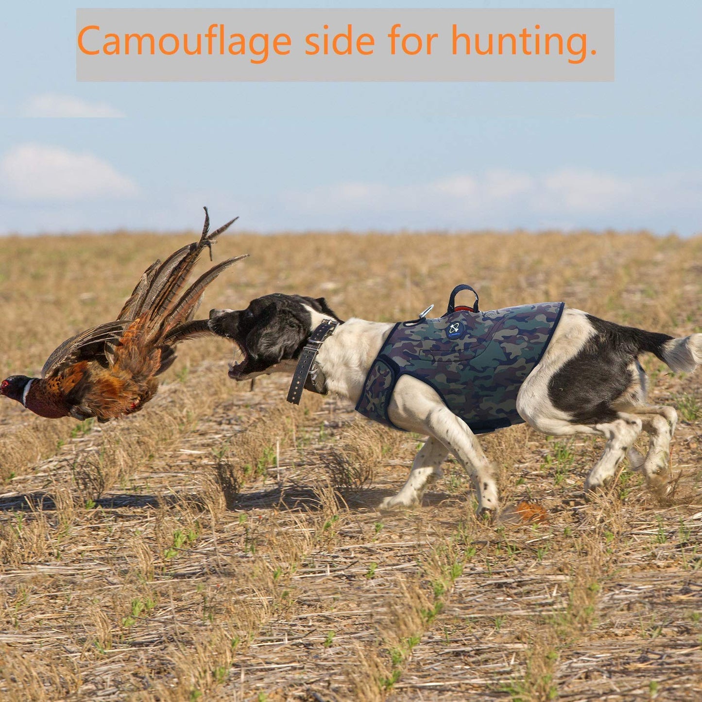 Coodeo Dog Hunting Vest Orange, Camo and Reversible Reflective Dog Tactical Harness Hound Jacket for Protection and Security, 4.5mm Neoprene Waterproof Safety Dog Vest Both Sides to Wear (Large)