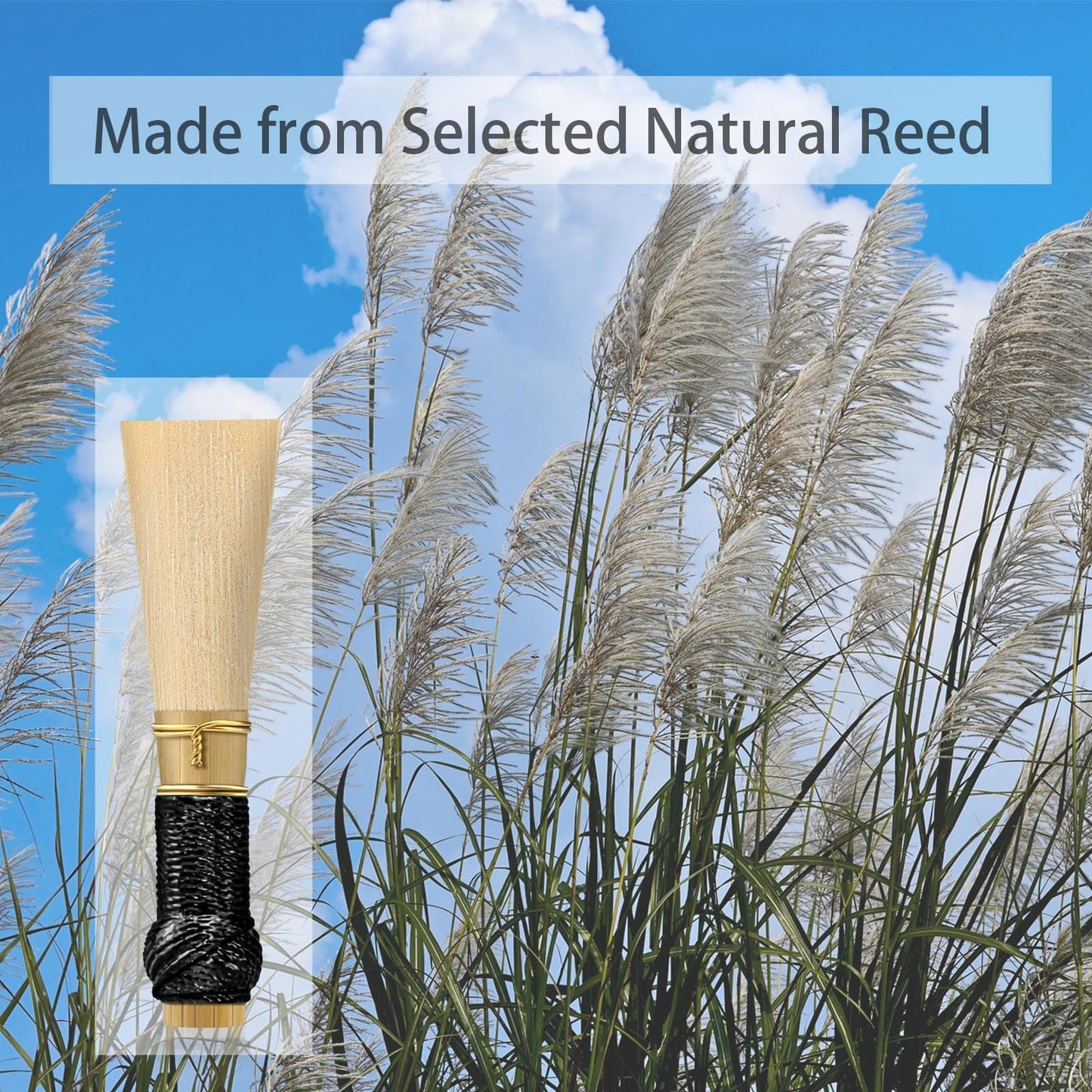 SOUNDACTURE Artist Bassoon Reed, Medium Soft, Handcrafted for Enhanced Durability & Sound Quality - Perfect for Students & Professionals, Reliable Playability, Exceptional Tone