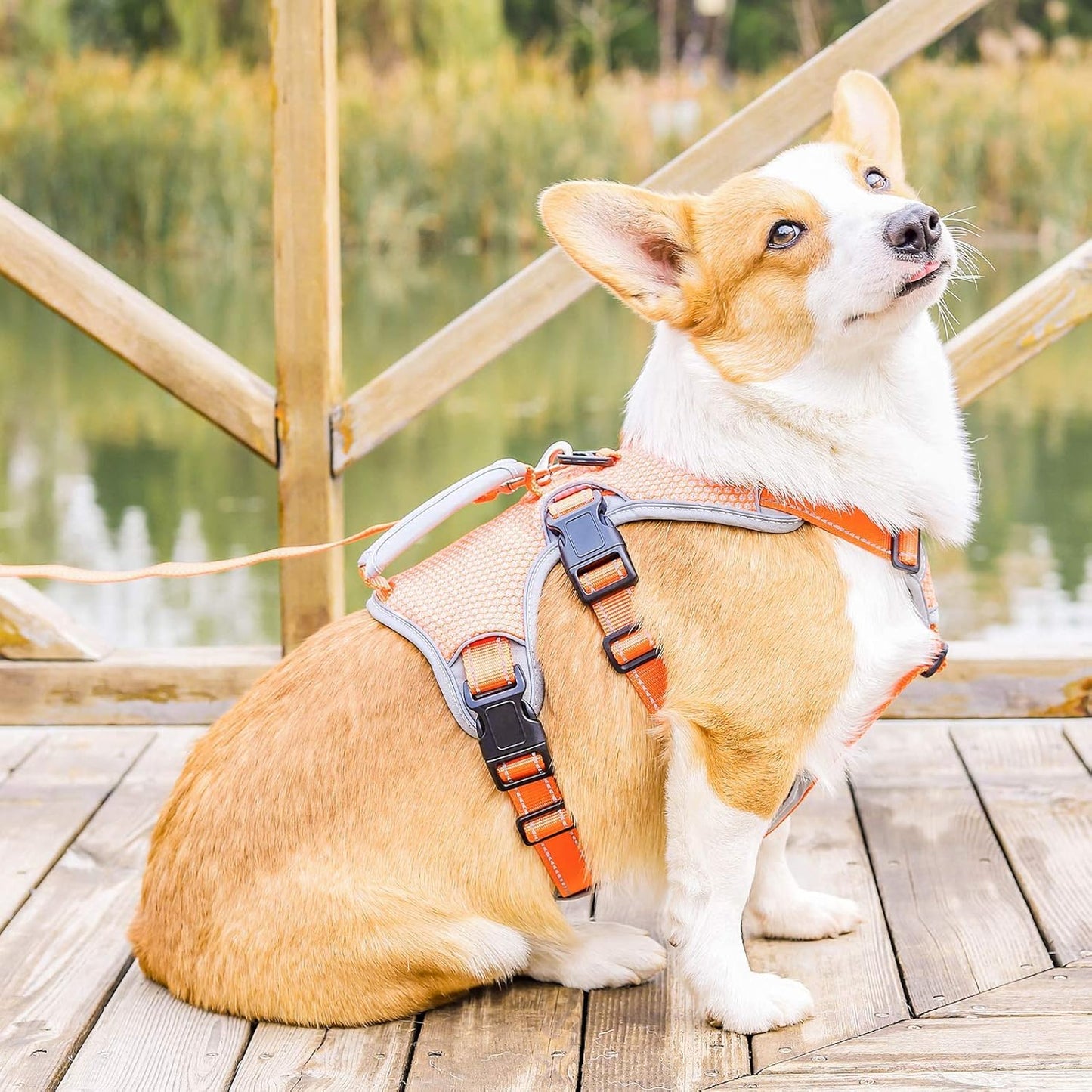 BELPRO Escape Proof Dog Harness, Multi-Use Support Dog Vest, No Pull Reflective Adjustable Pet Vest with Padded Handle, Dog Walking Harness for Big/Active Dogs (Orange,M)