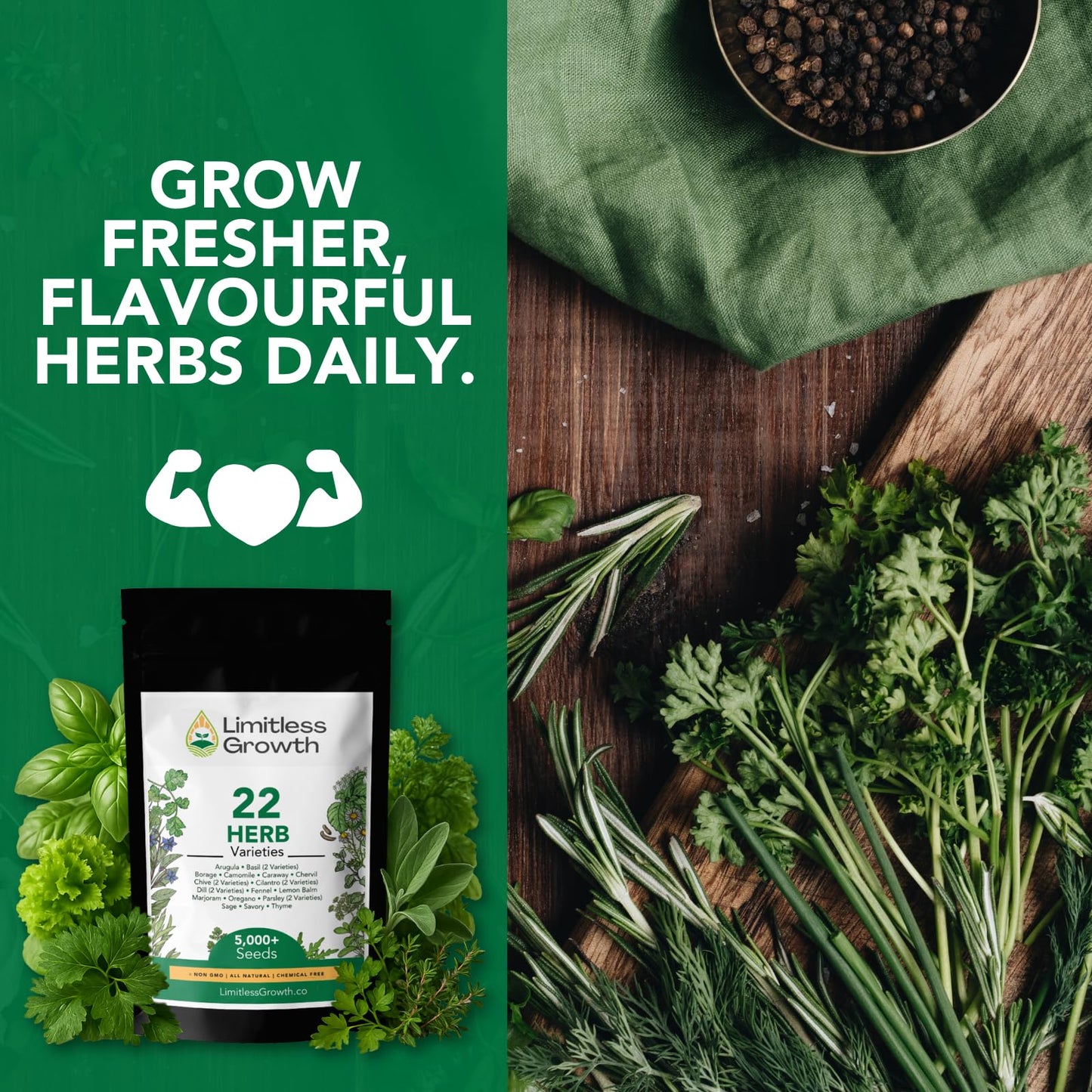 Herb Seed Pack | 22 Herb Varieties for Planting Canadian Climates | Arugula, Basil, Borage, Chamomile, Caraway, Chervil, Chive & More | Beginner-Friendly Indoor Herb Garden Kit | Limitless Growth