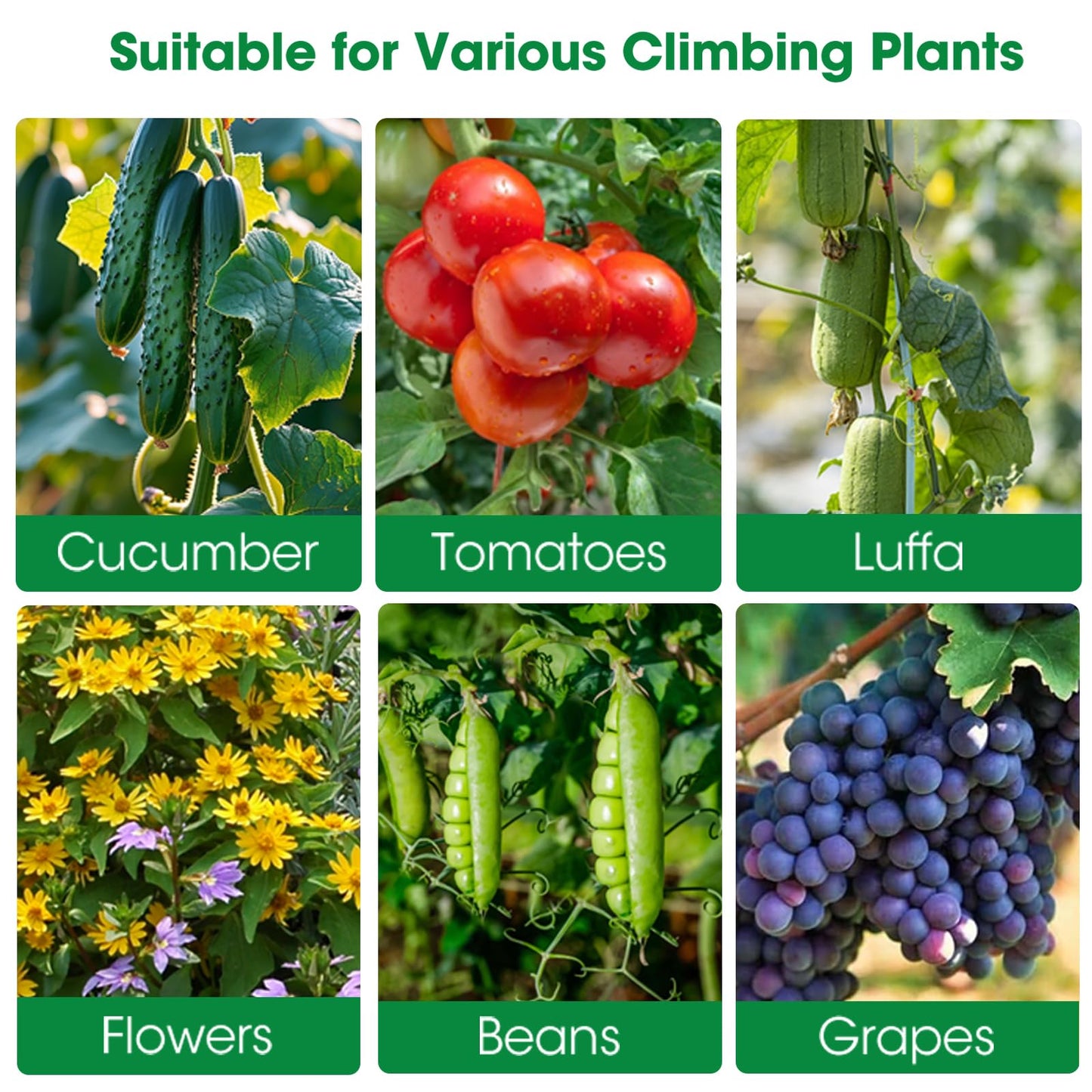 Cucumber Trellis for Garden, 48''×48''×15.7'' U-Frame Garden Trellis for Climbing Plants, Vegetable, Flower, Fruits, Vine; Arch Plant Support with Nylon Netting for Garden Outdoor