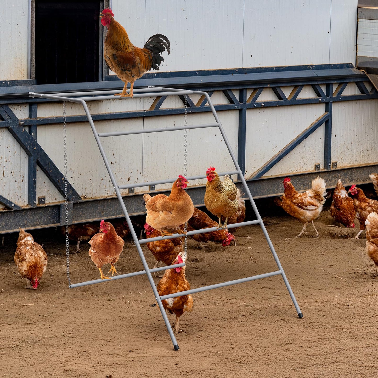 Chicken Coop Perches with Swing, Metal Chicken Roosting Bars, Chicken Run Toys Accessories for Backyard Poultry Habitat Supplies, Hen Perch for Coop, Farm Chick Ladder, Grey