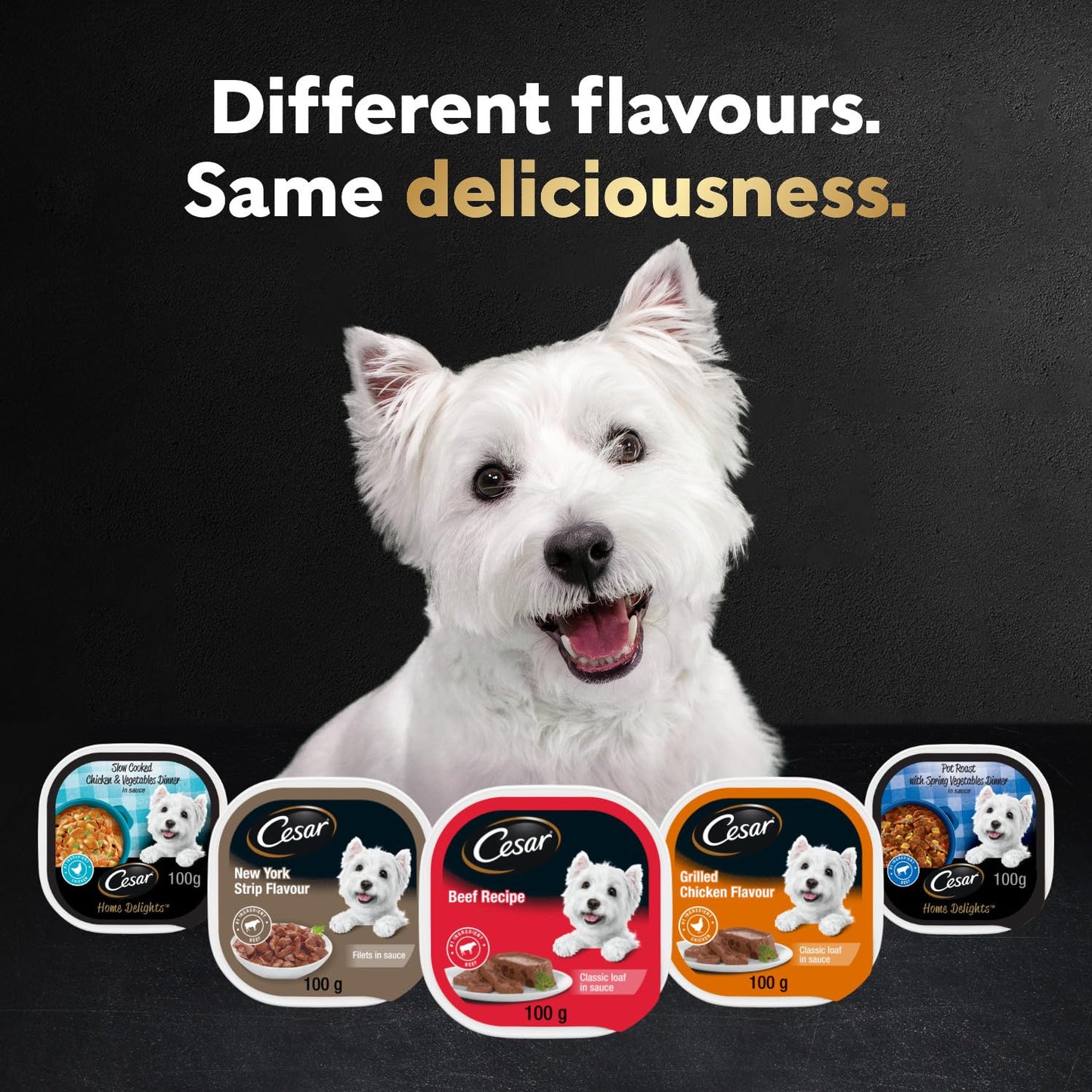 CESAR Home Delights Wet Dog Food - Beef Stew - 100g (24 Pack)