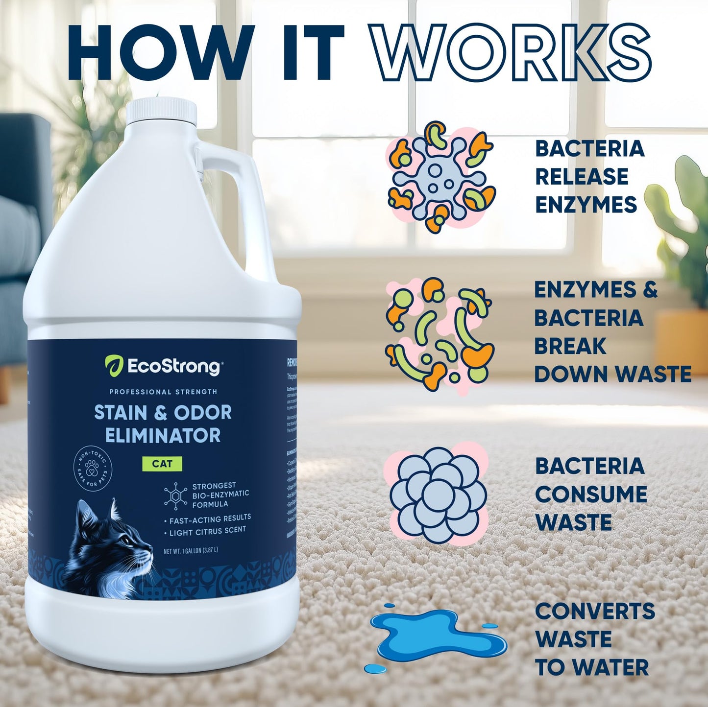 Cat Stain and Odor Remover| Enzyme Urine Odor Neutralizer - Stain Remover for Carpet, Litter Boxes, Bedding, and Laundry [160 Fl Oz Bundle]