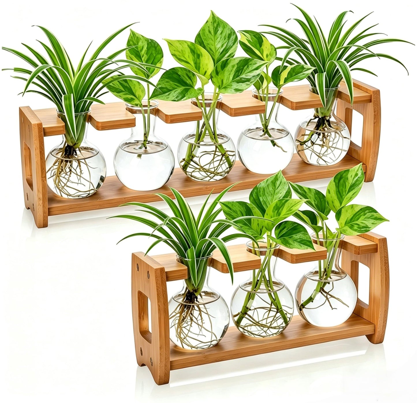 Pumtus 2 Pack Plant Propagation Stations, Desktop Plant Terrarium with Wooden Stand, Water Propagation Station, Hydroponic Plants Vase with 8 Glass Bulbs, Small Propagated Plant Jar for Home Office