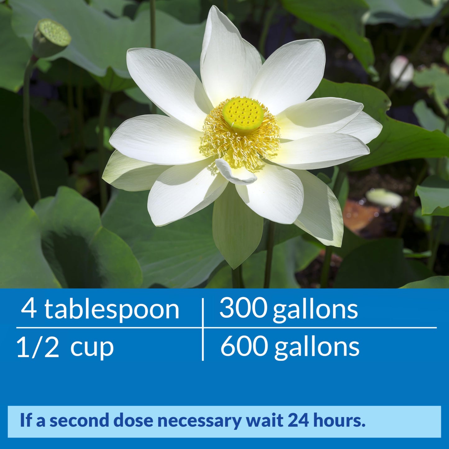 PondCare API Pond ACCU-Clear Pond Water Clarifier 64-Ounce Bottle