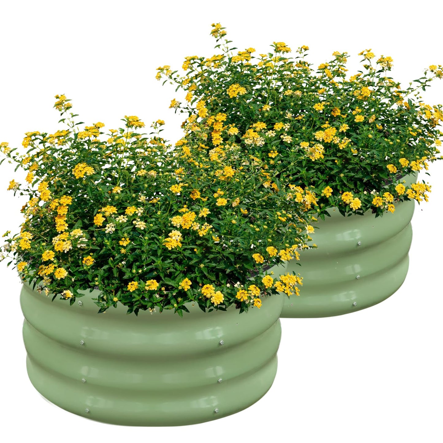 2-Pack Raised Beds for Garden – 60x30cm Round Steel Planter Box with Safety Edging, Outdoor Raised Planters for Vegetables, Flowers & Herbs, Bottomless Metal Garden Bed