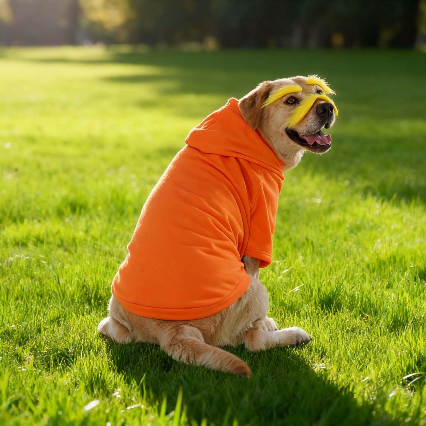 Littledropet Dog Costume with 3 Packs Yellow Mustache Eyebrows,Halloween Costume Cosplay Outfits for Medium Large Dogs,Dog Hoodie Sweatshirt Funny Clothes Pet Apparel,5XL