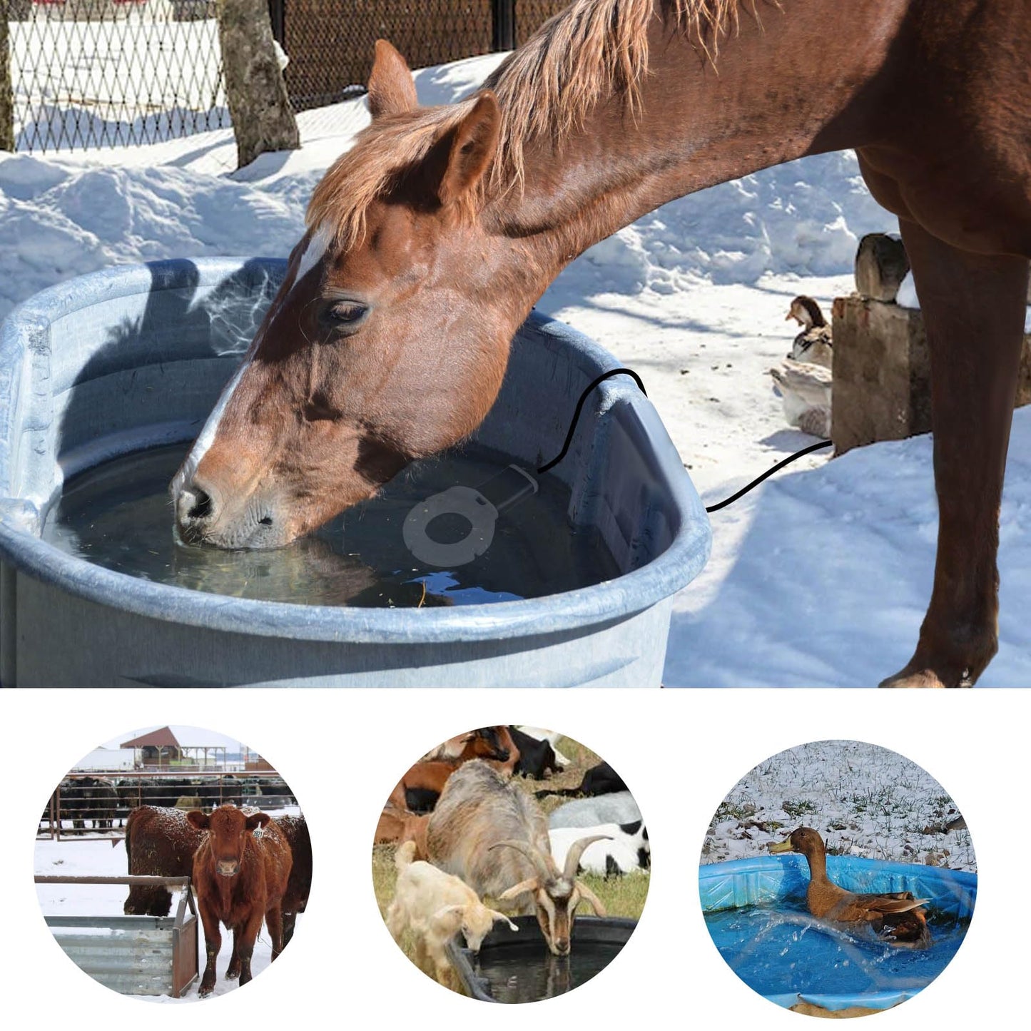 comincia 500Watt Utility De-Icer Submersible Cast Aluminum Chicken Water Heater for Livestock Poultry Tanks,Heated Bird Bath Deicer for Winter