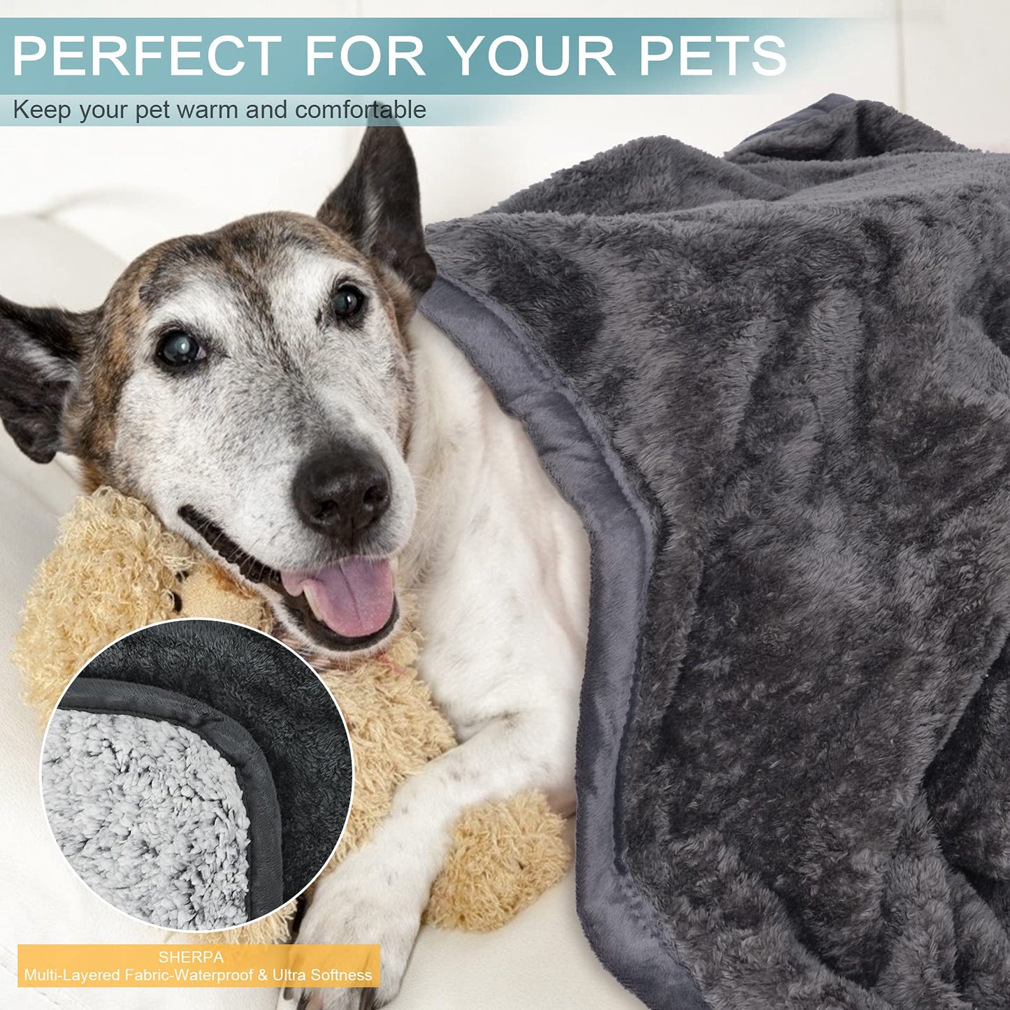 Bidear Dog Blanket Soft Fluffy Pet Blanket Waterproof Warm Cat Blanket Self-Warming Puppy Snuggle Blanket Warm Throw Pets Bed Blankets Dog Fuzzy Blankets for Sofa Travel 31.5 x 39.4”- Grey