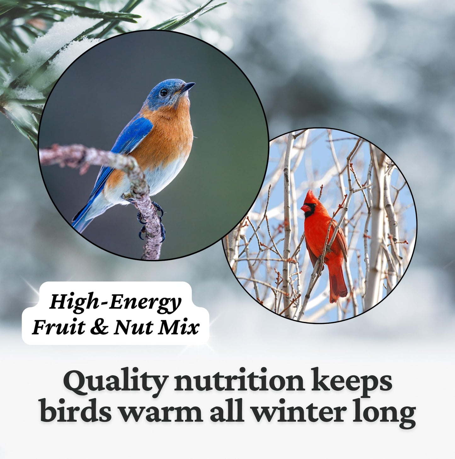 Agri-Tel Orchard Blend Fruit and Nut Bird Seed for Outside Feeders | Wild Songbird, Cardinal, Blue Jay, Finch Bird Food Seed | 4 Kgs, 8.8 Lbs