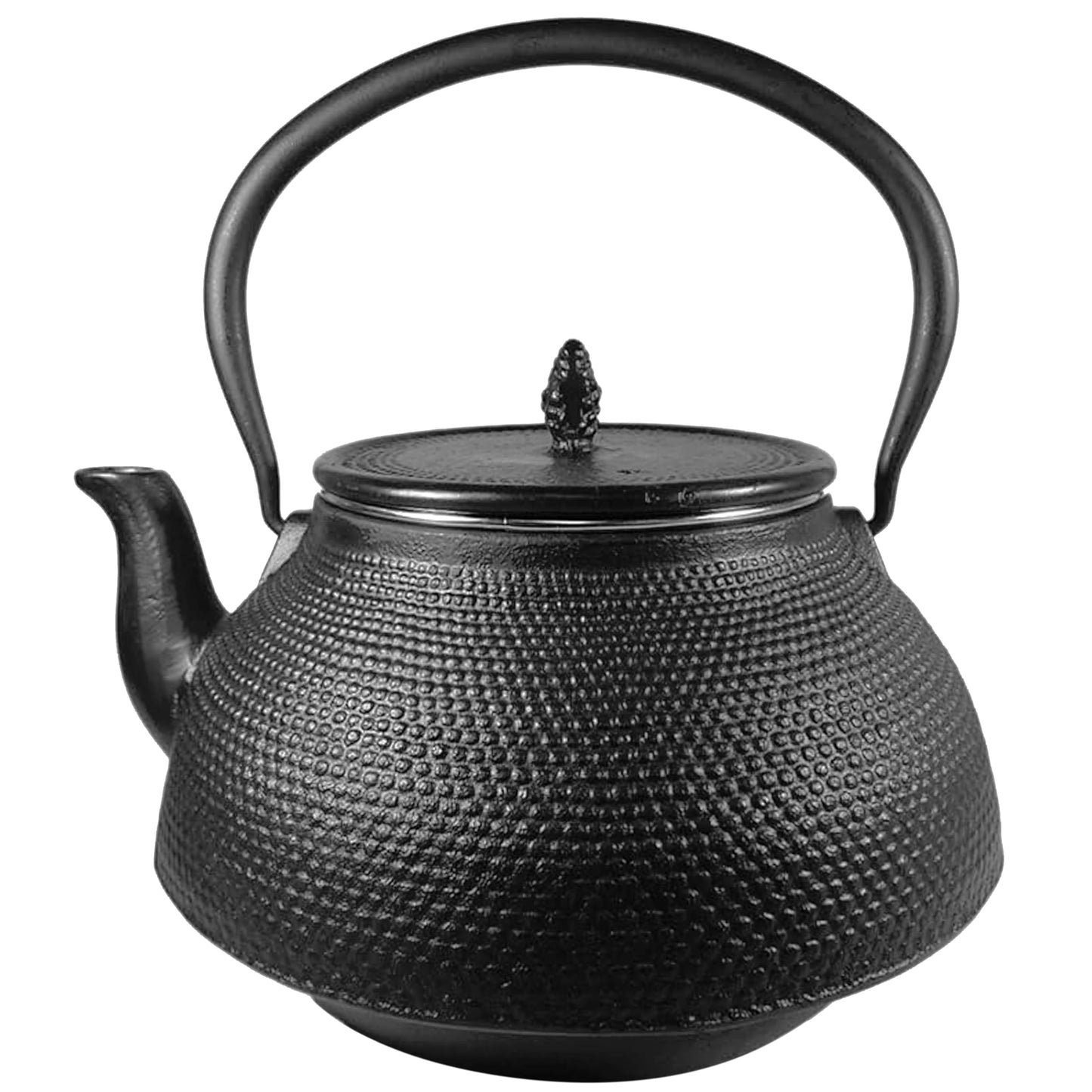 Cuisiland Large 66 OZ Hobnail Cast Iron Teapot Enameled Interior and Stainless Steel Infuser