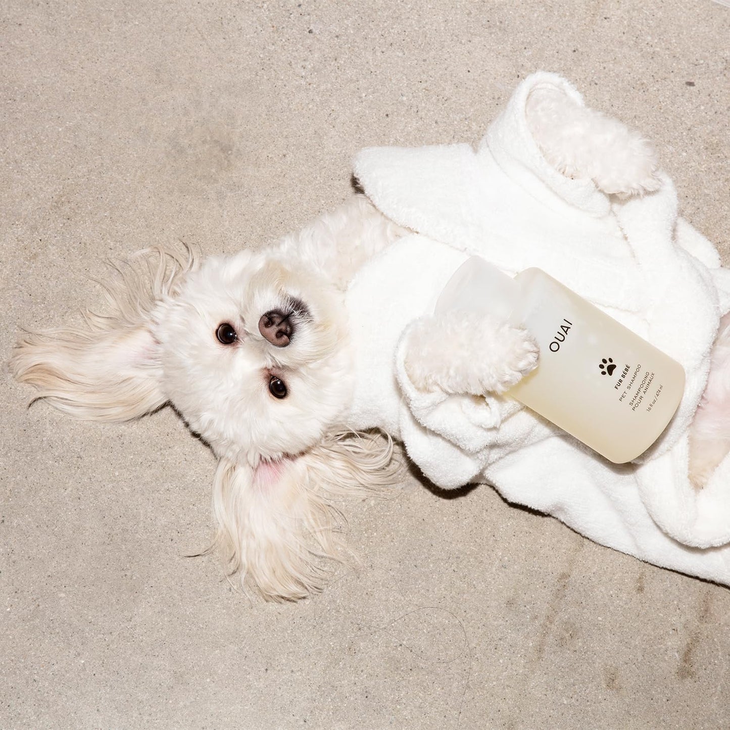 OUAI Fur Bébé Pet Shampoo - Cat & Dog Shampoo for Gentle Cleansing, Hydration & Shine - Vegan & Cruelty-Free Pet Supplies with Aloe Vera & Panthenol - Mercer Street Scent (16 Fl oz)