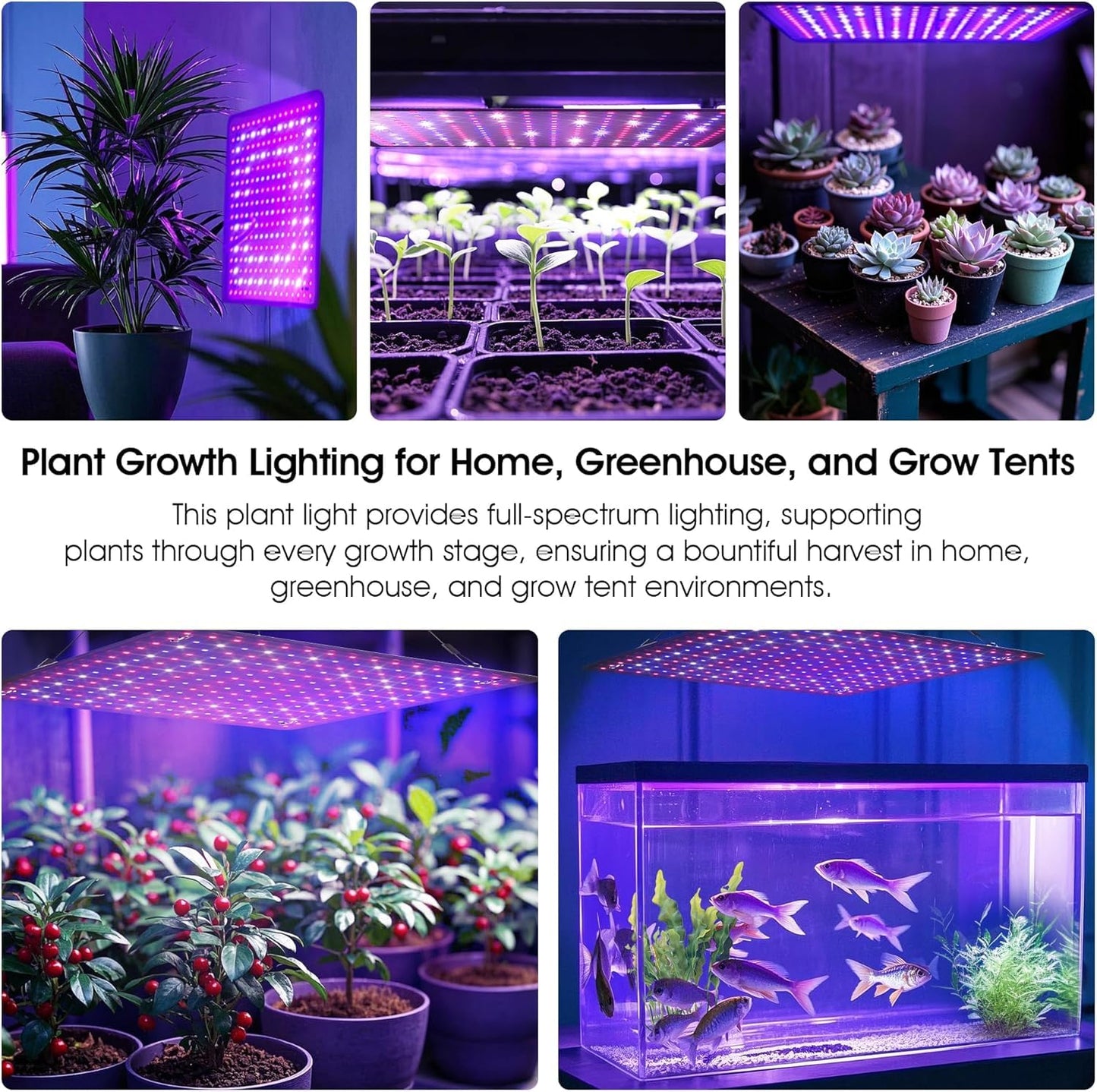 Aokrice LED Grow Light Panel 200W Lamp for Indoor Plants, Full Spectrum with White Blue Red UV IR LEDs for 4x4ft Coverage Grow Tent Greenhouse Veg and Bloom Seedlings Hydroponics (2 Pack)