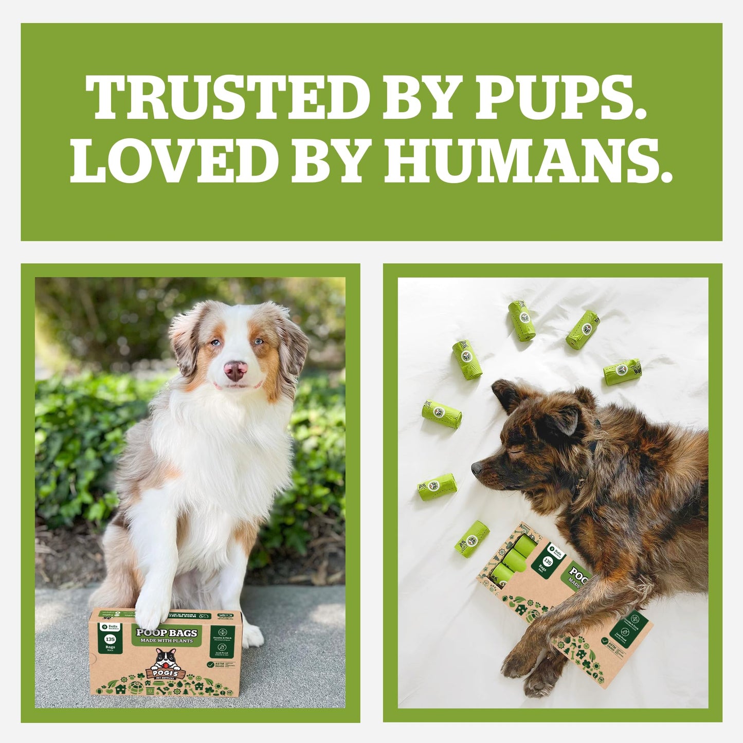 Pogi's Compostable Poop Bags – Leak-Proof, Extra-Large, Plant-Based, Home Compostable – 32 Rolls (480 Bags)