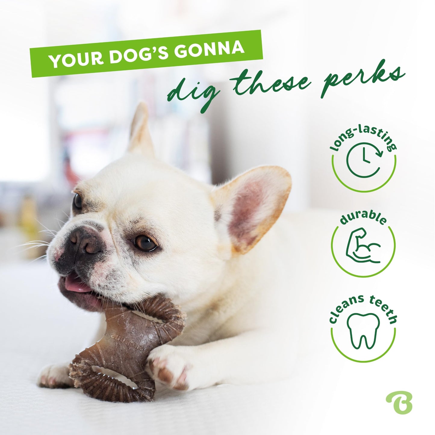 Benebone Tiny 2-Pack Dog Chew Toys, Made in USA, Real Bacon Flavor, Small