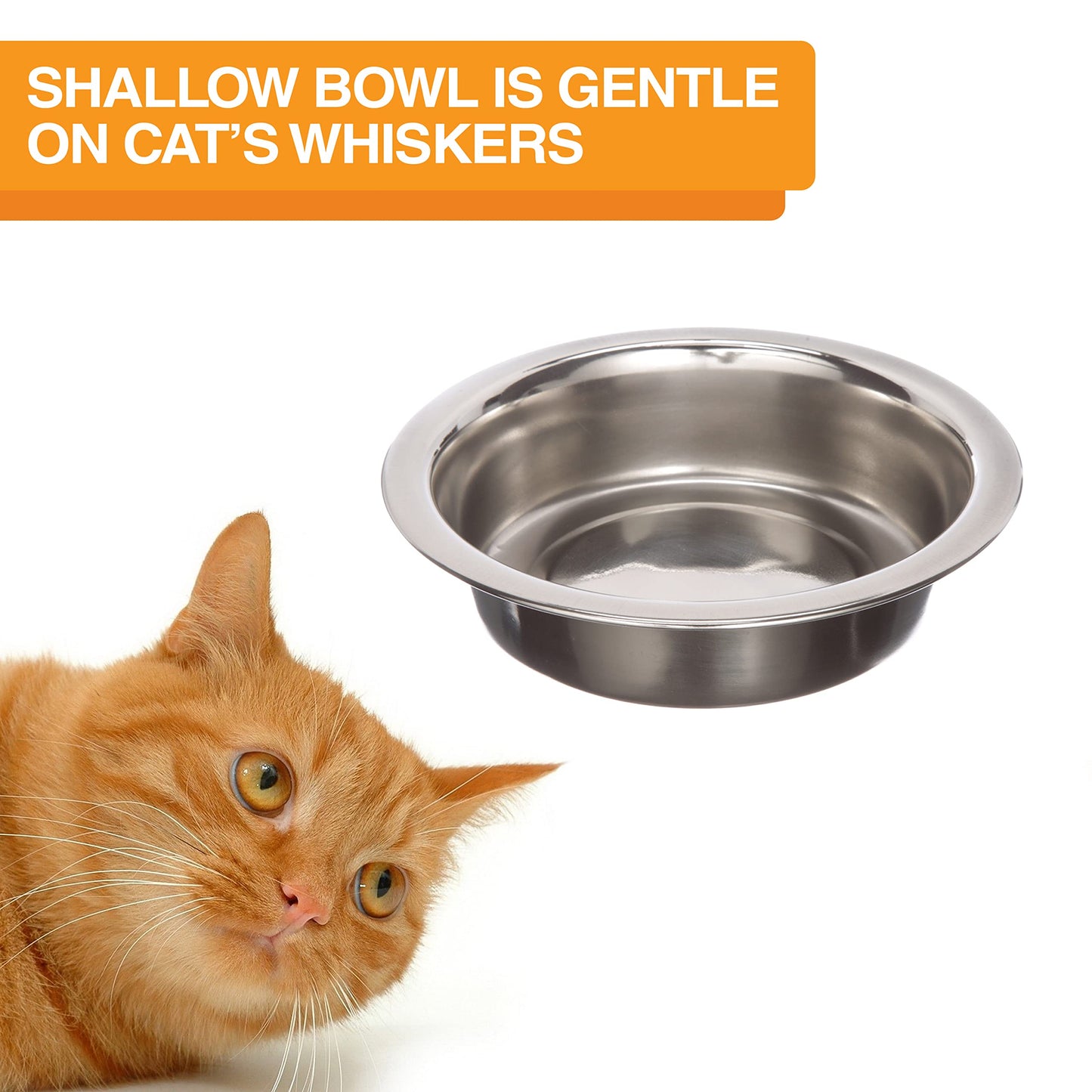 Neater Feeder Express for Cats - Mess Proof Pet Feeder with Stainless Steel Food & Water Bowls - Drip Proof, Non-Tip, and Non-Slip - Gunmetal Grey
