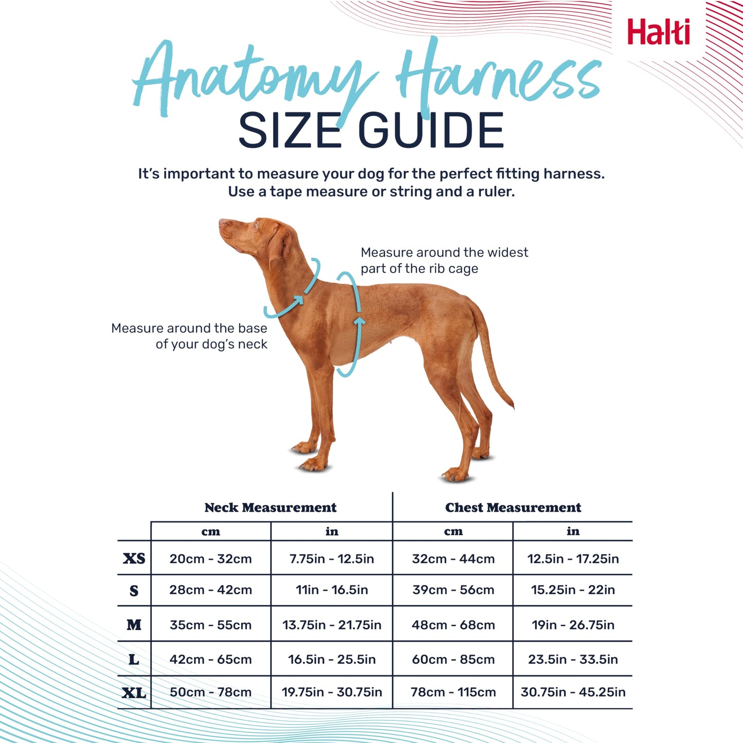 HALTI Anatomy Dog Harness with Handle - Provides Your Dog Freedom of Movement for Comfortable Walking. 3 Leash Attachment Points, Neoprene Padded, Adjustable, and Reflective (Size Large, Grey)