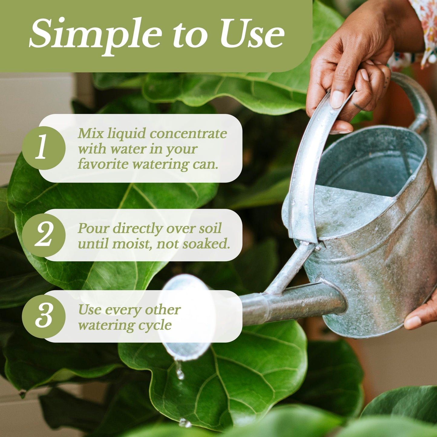 Professional Liquid Gardenia Plant Fertilizer | 3-1-2 Concentrate for Flowering Plants | Multi-Purpose Blend & Gardening Supplies | 8 oz Bottle