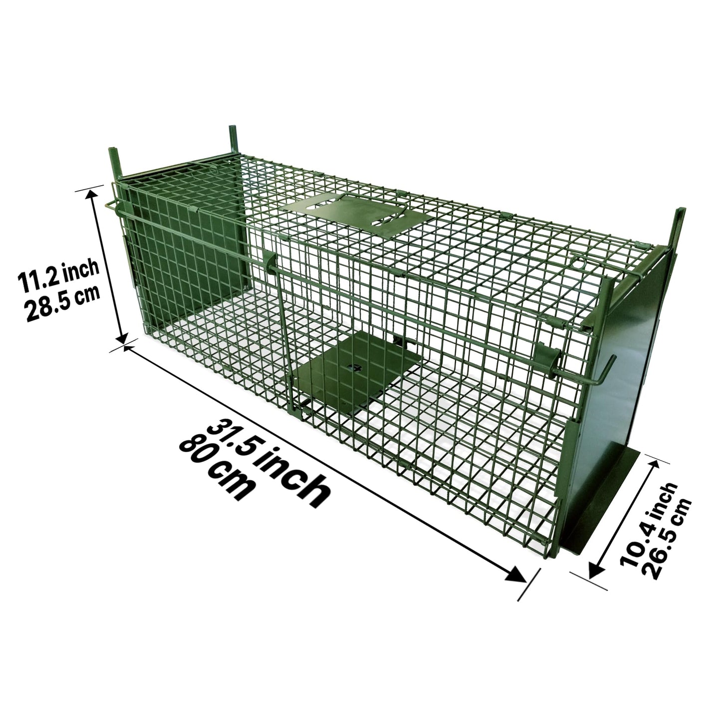 ARIFARO Animal Cage Trap (31" L x 10" W x 11" H) Humane Live Cage Trap Double-Door Metal Capture Cage for Skunks,Raccoons,Rabbits,Stray Cats,Squirrels,Moles,Gophers