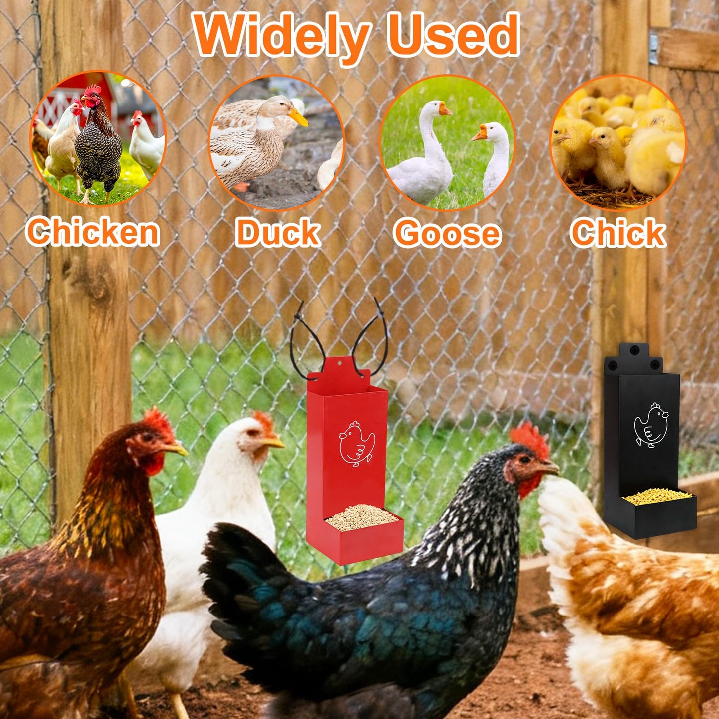 2pcs Chicken Oyster Shell & Grit Feeder, Metal Hanging Poultry Feeder Trough for Hens Durable Chicken Coop Accessories (Black & Red)