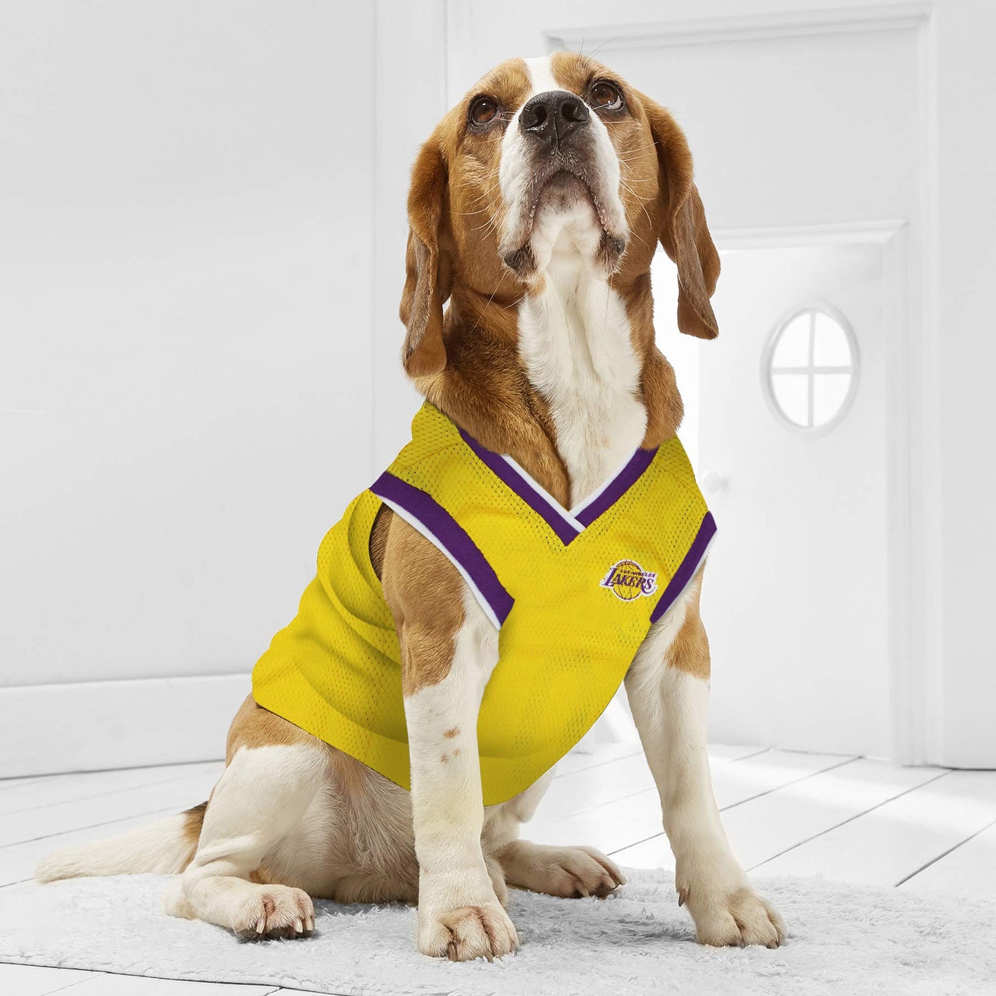 NBA Los Angeles Lakers Dog Jersey, X-Small - Tank Top Basketball Pet Jersey
