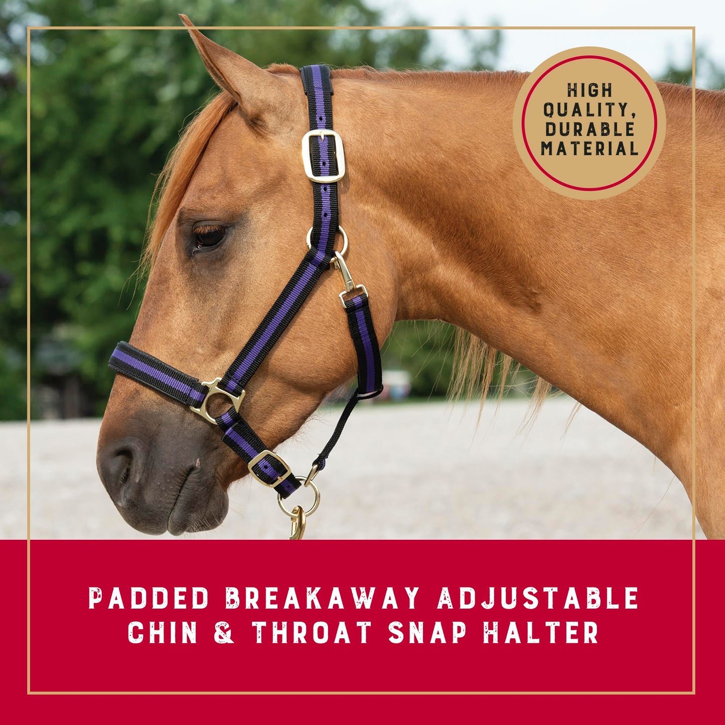 Weaver Leather Padded Breakaway Adjustable Chin & Throat Snap Halter, 1" Average Horse or Yearling Draft