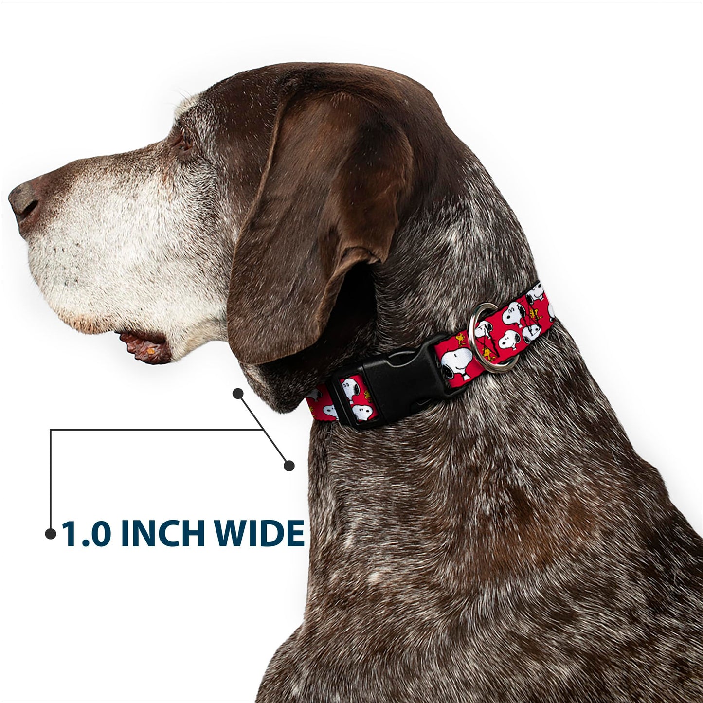 Peanuts Worldwide LLC Pet Collar, Dog Collar Plastic Buckle, Peanuts Snoopy and Woodstock Poses Scattered Red, 15 to 24 Inches 1.0 Inch Wide