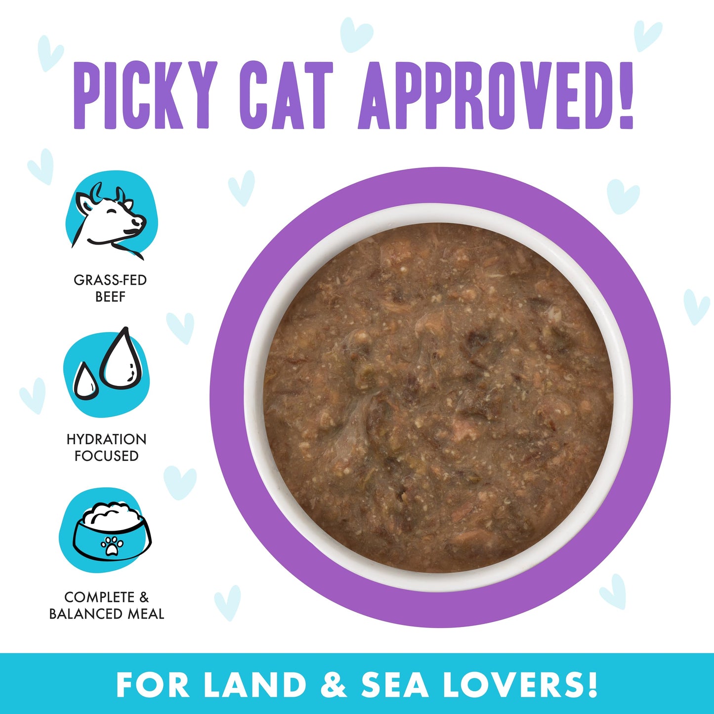 B.F.F. OMG - Best Feline Friend Oh My Gravy!, Best Day Eva! with Beef & Salmon in Gravy Cat Food by Weruva, 2.8oz Can (Pack of 12)