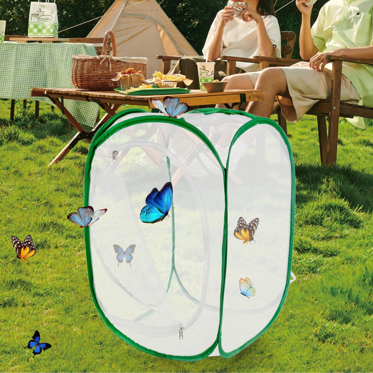 Large Monarch Butterfly Cage, Collapsible Caterpillar Habitat with 5 Mesh Panels for Airflow Pop Up Butterfly Kit, 60 x 60 x 90CM