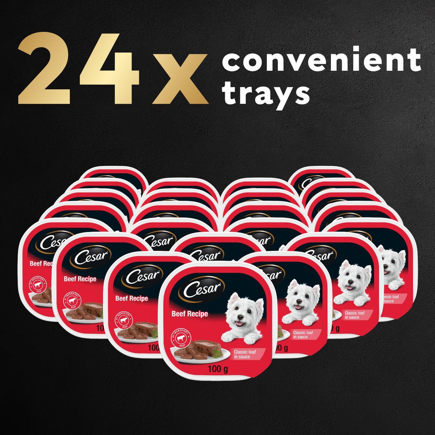 CESAR Dog Food Wet Classic Loaf in Sauce Wet Dog Food - Beef, 100g Tray (24 Pack)